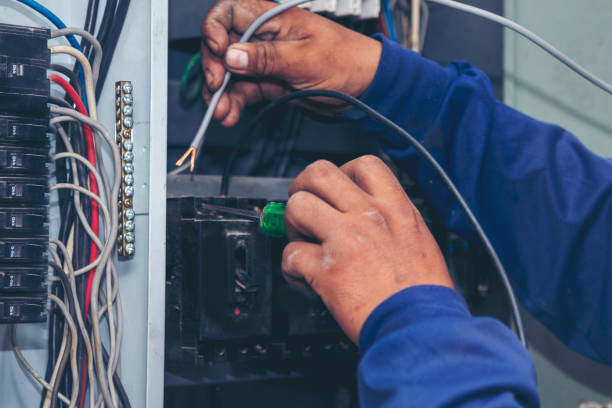 Best Residential Electrician Services  in Hallandale Beach, FL